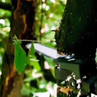 53be0d34a95a333af55c38c3f56de370